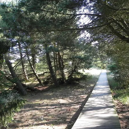 *gaubenkieker* Wittdün